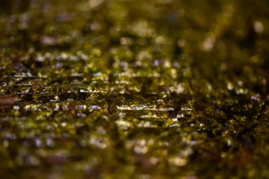 Lezzetli tuzlu kurutulmuş yosun çarşafları.