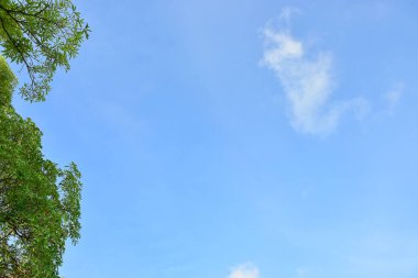 Arka plan için mavi gökyüzü ve beyaz bulutlar