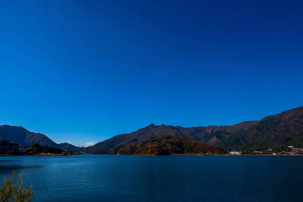 Folhas Outono Lagoa Kawaguchiko Parque Yakisaki Japan Fujisan Montanha — Fotografia de Stock