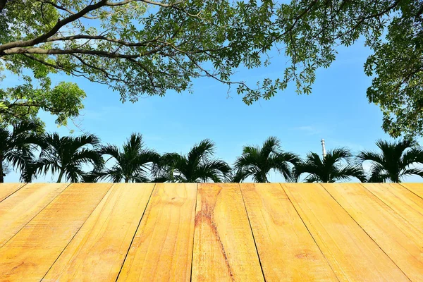 Grüner Baum Hat Hintergrund Blauer Himmel — Stockfoto