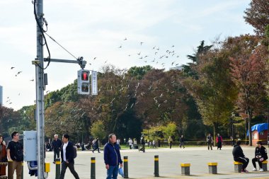 Tokyo, Japonya. 27 Kasım 2019 Tanımlanamayan Görüntü. Birçok insan Ueno parkında yürüyor ve sonbahar ağacını izliyor..