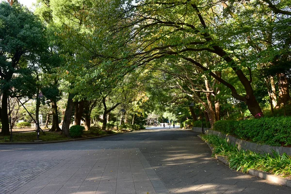 Tokio Japonsko Listopad 2019 Neidentifikovaná Skvrna Parku Ueno Chodí Mnoho — Stock fotografie