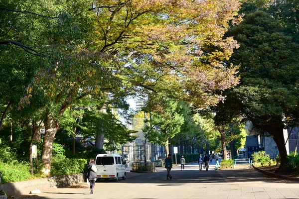 Tokio Japón Noviembre 2019 Desenfoque Identificado Muchas Personas Están Caminando — Foto de Stock