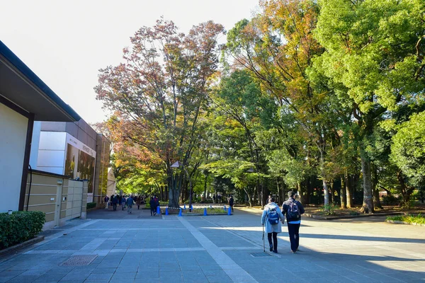 日本东京2019年11月27日身份不明模糊 许多人在植树公园里散步 在一个阳光明媚的日子观赏着花园里的秋树 — 图库照片