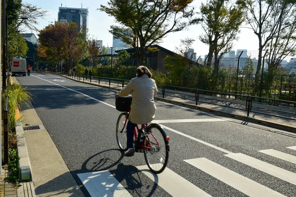 Tokyo Japan November 2018 Unidentified Many People Walking Ueno Park — Stock Photo, Image