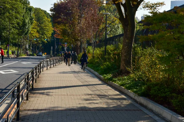 Токіо Японія Листопада 2018 Непізнані Багато Людей Ходять Парку Уено — стокове фото
