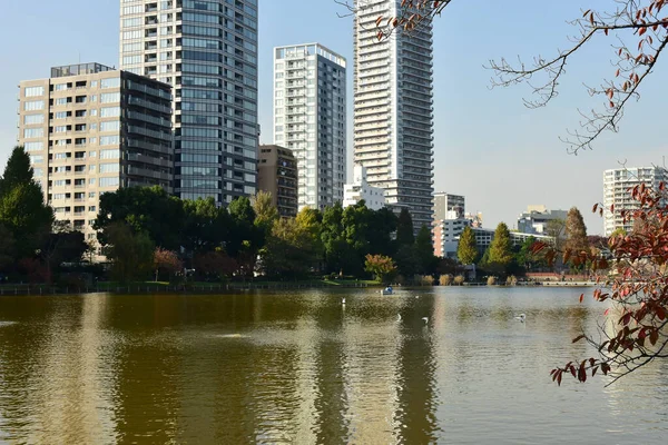 Tokio Japón Noviembre 2018 Muchas Personas Identificadas Están Caminando Parque — Foto de Stock