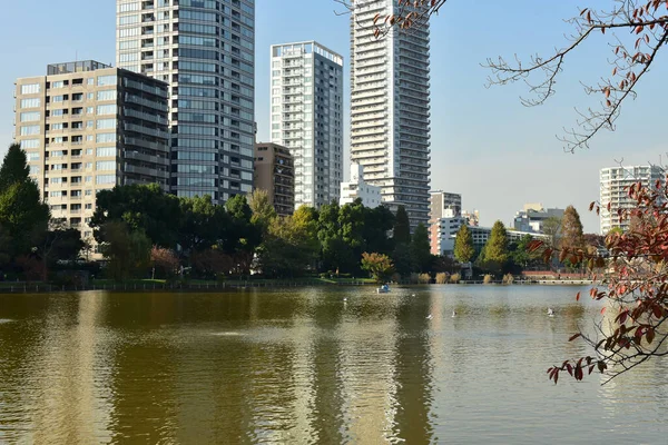 Tokio Japonia Listopada 2018 Niezidentyfikowane Wiele Osób Spaceruje Parku Ueno — Zdjęcie stockowe