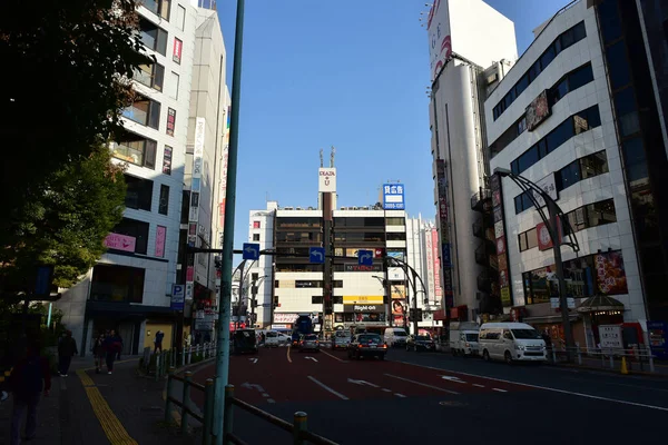 日本东京2018年11月27日身份不明的许多人正在植树公园散步 观赏着花园里的秋树 — 图库照片