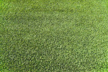 Arkaplanda yeşil çimen soyut dokusu