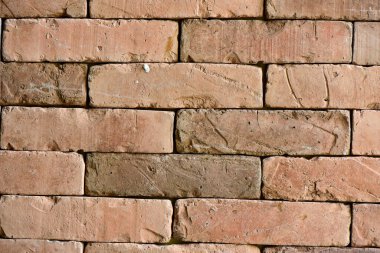 Solucanların gözü, duvarda parlayan güneşi görür.