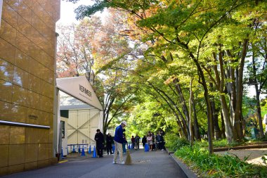 Tokyo, Japonya. 27 Kasım 2019 Tanımlanamayan Görüntü. Birçok insan Ueno parkında yürüyor ve sonbahar ağacını izliyor..