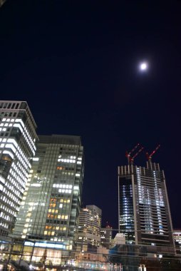 Tokyo, Japonya 21 Kasım 2018 Tanımlanamayan Görüntü Japon halkının Tokyo 'ya gece yolculuğu. Tokyo 'daki binalar.