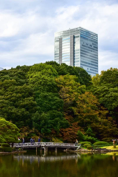 東京都2019年11月27日確認されていない多くの人々が新宿御苑を歩いていて 庭の秋の木 日差しの日の秋の森を見ています — ストック写真