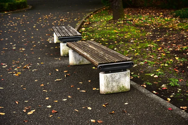 Tokio Japonsko Listopad 2019 Neznámý Mnoho Lidí Chodí Shinjuku Gyoen — Stock fotografie