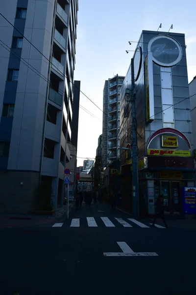 Tokio Japón Noviembre 2018 Personas Identificadas Estaciones Tren Tokio Desenfoque — Foto de Stock