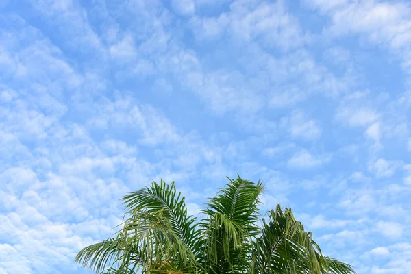 Blauer Himmel Und Weiße Wolken Als Hintergrund — Stockfoto