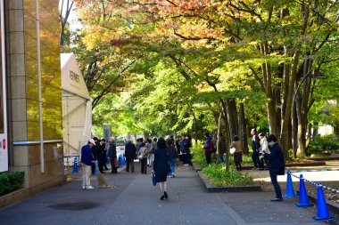 Tokyo, Japonya. 27 Kasım 2019 Tanımlanamayan Görüntü. Birçok insan Ueno parkında yürüyor ve sonbahar ağacını izliyor..