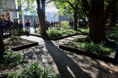 Tokyo, Japonya. 27 Kasım 2019 Tanımlanamayan Görüntü. Birçok insan Ueno parkında yürüyor ve sonbahar ağacını izliyor..