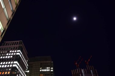 Tokyo, Japonya 21 Kasım 2018 Tanımlanamayan Görüntü Japon halkının Tokyo 'ya gece yolculuğu. Tokyo 'daki binalar.