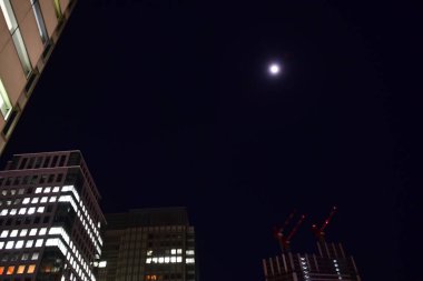 Tokyo, Japonya 21 Kasım 2018 Tanımlanamayan Görüntü Japon halkının Tokyo 'ya gece yolculuğu. Tokyo 'daki binalar.