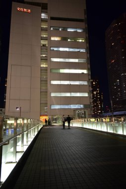 Tokyo, Japonya 21 Kasım 2018 Tanımlanamayan Görüntü Japon halkının Tokyo 'ya gece yolculuğu. Tokyo 'daki binalar.