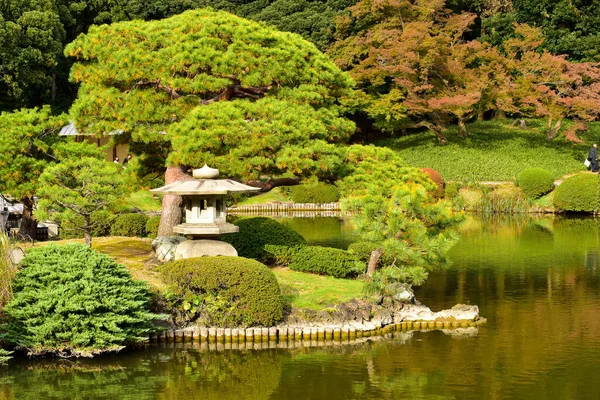 Tokyo Japonya Kasım 2019 Kimliği Belirlenemeyen Birçok Insan Shinjuku Gyoen — Stok fotoğraf