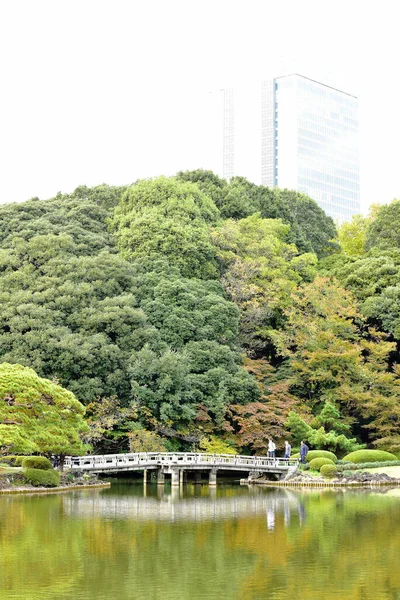 Tokio Japón Noviembre 2019 Sin Identificar Muchas Personas Están Caminando — Foto de Stock