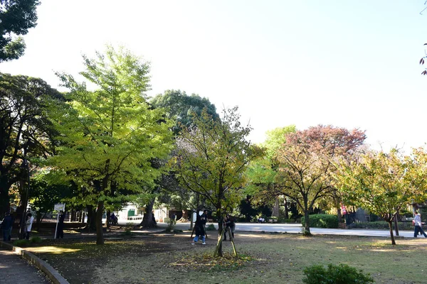 東京都2019年11月27日確認されていないぼかし多くの人が上野公園を歩いていて 庭の秋の木 日差しの日の秋の森を見ています — ストック写真