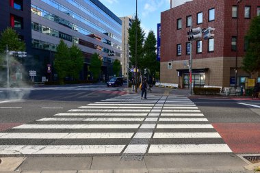 Tokyo, Japonya 25 Kasım 2018 Tokyo sokaklarında güneş parlıyor