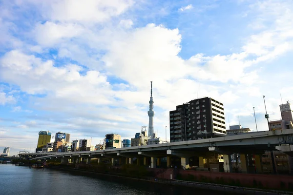 Tokió Japán November 2018 Nap Süt Sumida Folyó Hídján Tokióban — Stock Fotó