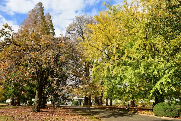 Tokio Japan November 2019 Unbekannte Gehen Shinjuku Gyoen Nationalgarten Spazieren — Stockfoto