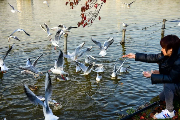 Tóquio Japão Novembro 2018 Não Identificado Muitas Pessoas Estão Andando — Fotografia de Stock