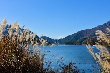 Yakisaki parkındaki Kawaguchiko gölünde sonbahar yaprakları. Fujisan dağı..