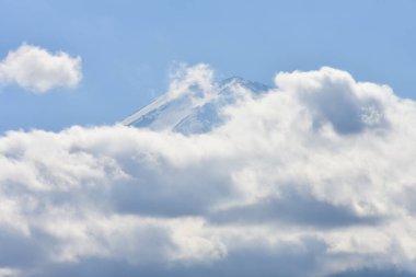 Yakisaki parkındaki Kawaguchiko gölünde sonbahar yaprakları. Fujisan dağı..