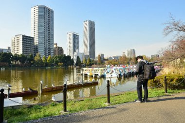 Tokyo, Japonya 27 Kasım 2018 Kimliği belirsiz birçok insan Ueno parkında yürüyor ve bahçedeki sonbahar ağacını izliyor. .