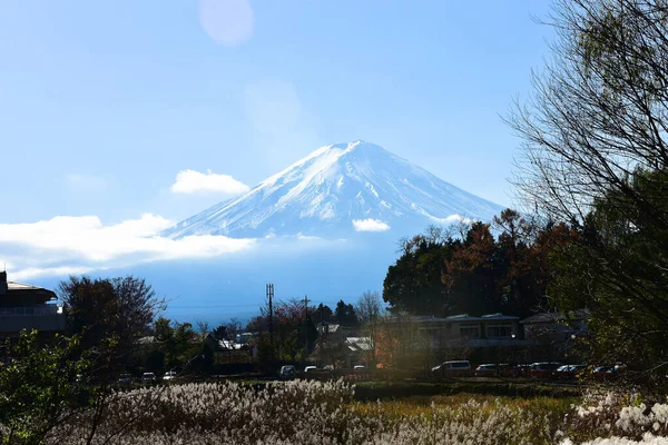 Feuilles Automne Dans Lagune Kawaguchiko Parc Yakisaki Japon Montagne Fujisan — Photo