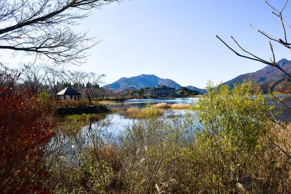 Podzimní Listí Laguně Kawaguchiko Japonském Parku Yakisaki — Stock fotografie