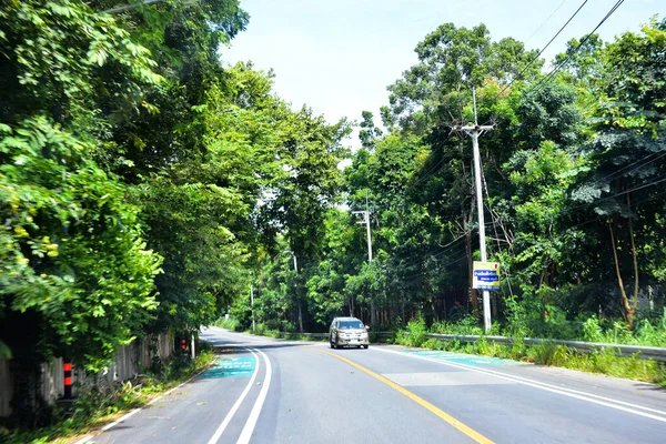 Pattaya Tayland Ağustos 2019 Güzel Pattaya Rotası Uygundur — Stok fotoğraf