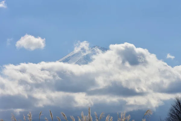 Höstlöv Kawaguchiko Lagun Vid Yakisaki Park Japan Fujisan Berg — Stockfoto