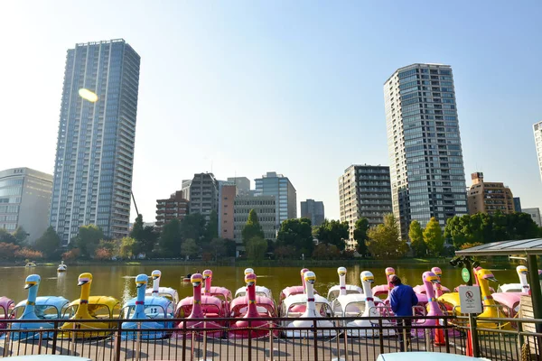 Tokio Japonsko Listopad 2018 Parku Ueno Procházejí Neidentifikovaní Lidé Dívají — Stock fotografie