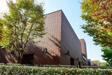 Tokyo, Japonya 27 Kasım 2018 Kimliği belirsiz birçok insan Ueno parkında yürüyor ve bahçedeki sonbahar ağacını izliyor. .