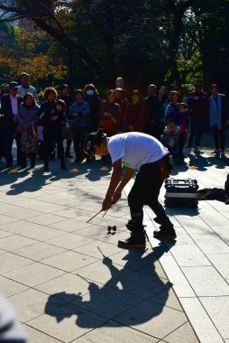 Tokyo, Japonya 27 Kasım 2018 Kimliği belirsiz birçok insan Ueno parkında yürüyor ve bahçedeki sonbahar ağacını izliyor. .