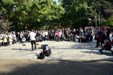 Tokyo, Japonya 27 Kasım 2018 Kimliği belirsiz birçok insan Ueno parkında yürüyor ve bahçedeki sonbahar ağacını izliyor. .