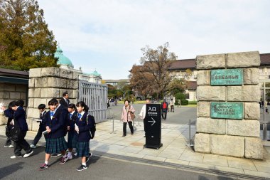 Tokyo, Japonya. 27 Kasım 2019 Tanımlanamayan Görüntü. Birçok insan Ueno parkında yürüyor ve sonbahar ağacını izliyor..