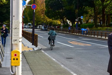 Tokyo, Japonya. 27 Kasım 2019 Tanımlanamayan Görüntü. Birçok insan Ueno parkında yürüyor ve sonbahar ağacını izliyor..