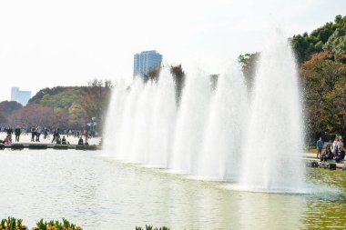 Tokyo, Japonya. 27 Kasım 2019 Tanımlanamayan Görüntü. Birçok insan Ueno parkında yürüyor ve sonbahar ağacını izliyor..