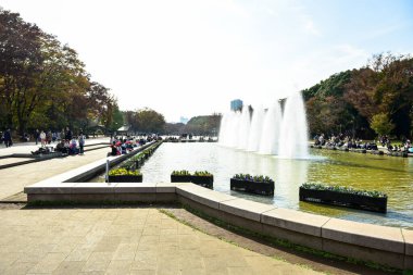 Tokyo, Japonya. 27 Kasım 2019 Tanımlanamayan Görüntü. Birçok insan Ueno parkında yürüyor ve sonbahar ağacını izliyor..