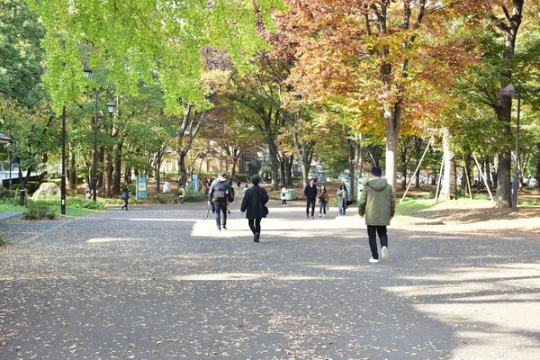 Tokio Japonia Listopada 2018 Niezidentyfikowane Wiele Osób Spaceruje Parku Ueno — Zdjęcie stockowe