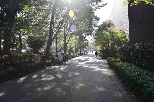 Токіо Японія Листопада 2018 Непізнані Багато Людей Ходять Парку Уено — стокове фото